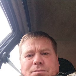 ������, 40 ���, ������