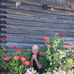 �����, ����