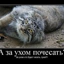 ���� ����������, ������, 58 ��� - ��������� 26 ��� 2026