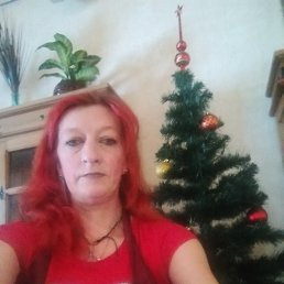 , 44 , -