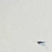 ��������, 56 ���, ����