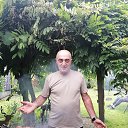 ���� �����, ����������, 72 ���� - ��������� 26 ������� 2024