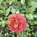 ���� �������, ���������� - ��������� 21 ���� 2024 � ������ ���� ����������