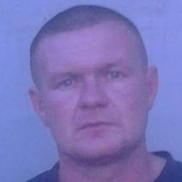 ����, �������, 43 ����