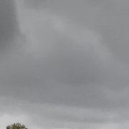 , 40 , 
