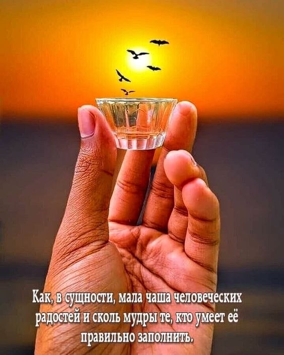 ₪╬═►  ||  ||  ◄═╬₪ - 26  2024  03:43