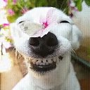 ���� �����, ������ - ��������� 8 ����� 2024 � ������ ������ ��������