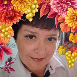 ���� �����, ����������, 50 ��� - ��������� 1 ������� 2025