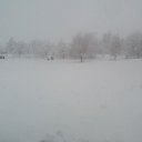 ���� ����, ����������, 41 ��� - ��������� 12 ������� 2025 � ������ ���� ����������