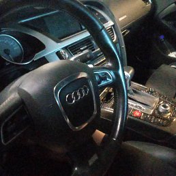 ���� ������, �����, 41 ��� - ��������� 16 ������� 2025