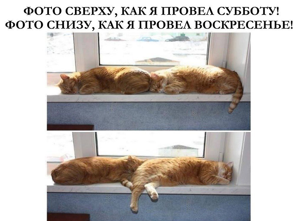 �������� ���� ��������)))