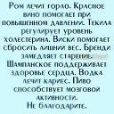  ,  -  9  2025   