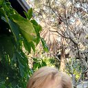 ���� ������, ����������, 45 ��� - ��������� 7 ������� 2025