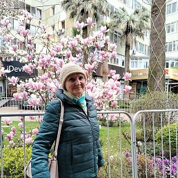 ���������, ����, 72 ����