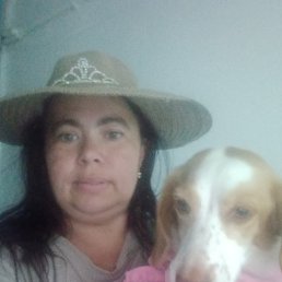 , 41, 