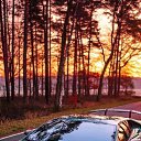 ���� �������, ������, 31 ��� - ��������� 15 ����� 2026 � ������ ���� ����������