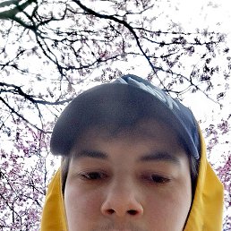 David, 17, 