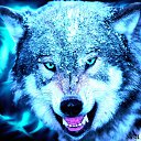 ���� ������, ������, 50 ��� - ��������� 28 ������� 2023 � ������ ���� ����������