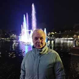 , 66, 