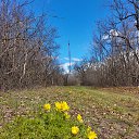 ���� ������, �������� - ��������� 11 ������� 2025 � ������ ���� ����������