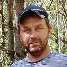 ����, ������, 37 ���