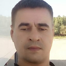 �������, ���������, 41 ���