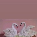 ���� �����, ������, 55 ��� - ��������� 14 ������� 2026