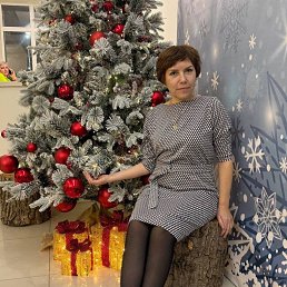 ���� �����, ���, 55 ��� - ��������� 28 ������� 2026