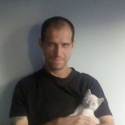 , 41,  