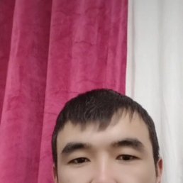 , 33, 