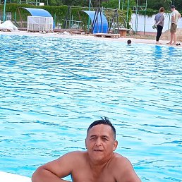  , 53, 