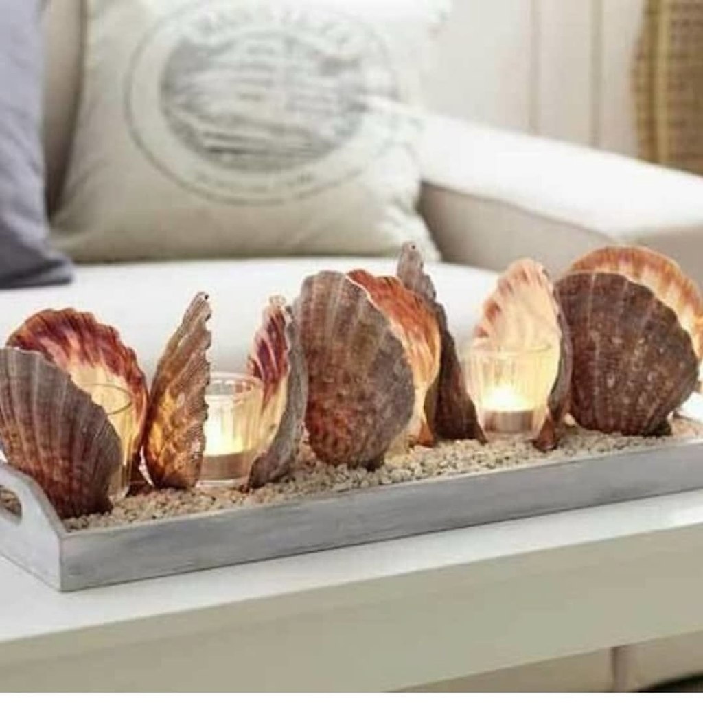 Ракушечное вдохновение — это больше, чем просто декор. Это особое искусство, в котором дыхание моря, ... - 10