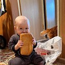 ���� ���, �����-��������� - ��������� 8 ������� 2026 � ������ ���� ����������