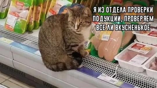Ec aea, o ey pya pe, e o, a o capaec! Ka yaee, acyae  o ... - 2