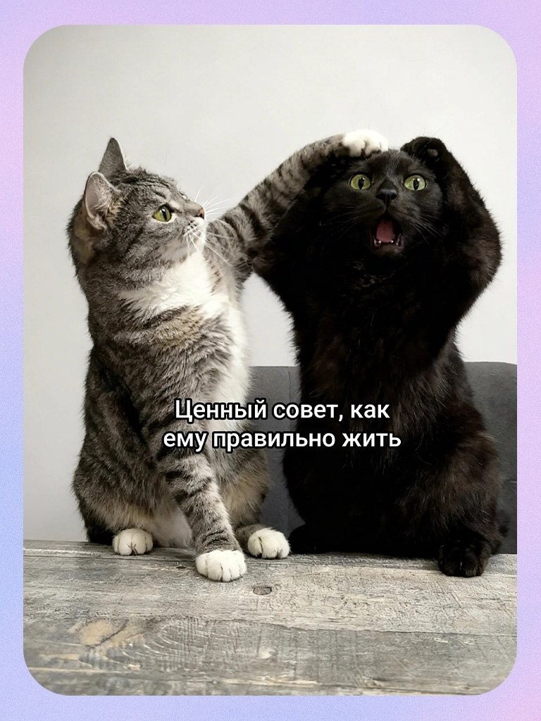 ����� ������ - 3