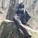 ���� ����, ���������, 59 ��� - ��������� 30 ��� 2024 � ������ ���� ����������