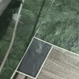 ���������, ��������, 27 ���