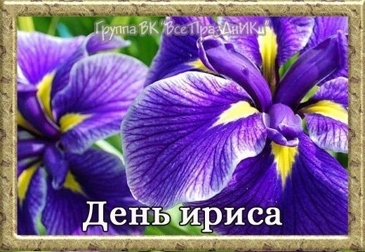 : , . - 7