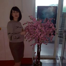 ���� ������� ��������, ������, 45 ��� - ��������� 2 ������ 2024