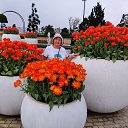 ���� �������, ����������� - ��������� 7 ������ 2026 � ������ ���� ����������