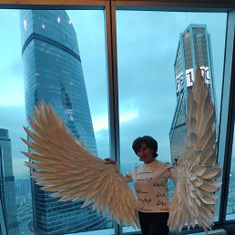 ���� ������, ������, 48 ��� - ��������� 31 ������ 2024