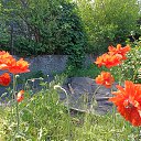 ���� ������, ��������������, 53 ���� - ��������� 30 ���� 2025 � ������ �����