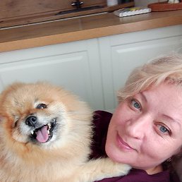 �������, �����, 51 ���