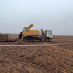 ������, ������, 30 ���