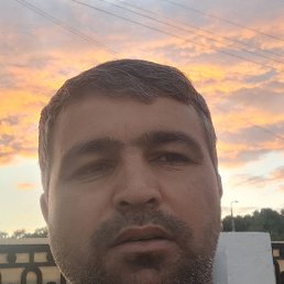 , 32, 