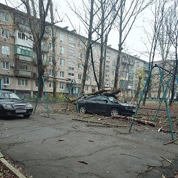 ���� �����, �����, 39 ��� - ��������� 25 ������ 2023