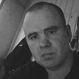 ��������, ������, 49 ���