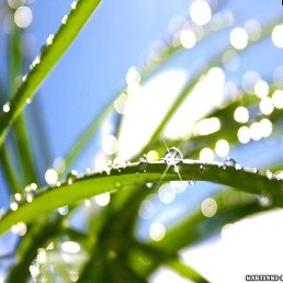 ����, ������-��-����, 49 ���