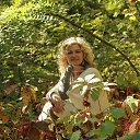 ���� ������, ������ - ��������� 31 ������ 2026 � ������ ���� ����������