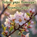 ���� �������, ���� - ��������� 17 ������ 2026 � ������ ������ ��������